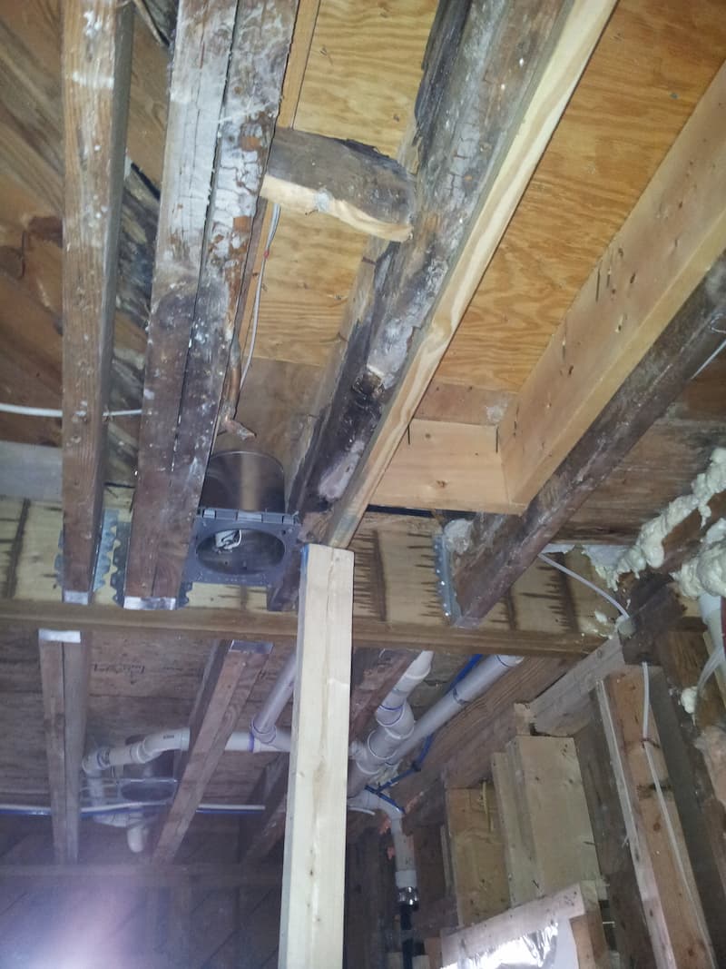 Rotten wood required repairs during a kitchen remodel by Distinctive Design + Build + Remodel in a historic home in the Myers Park neighborhood in Charlotte, NC.